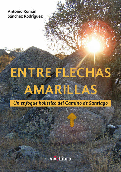 Entre flechas amarillas. Un enfoque holístico del Camino de Santiago - viveLibro